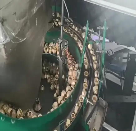 Flare Nuts Automatic Visual Counting And Packaging Machine